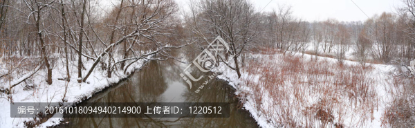 冬木與河的全景