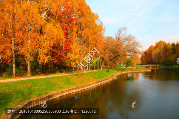 十月在城市公園的秋天