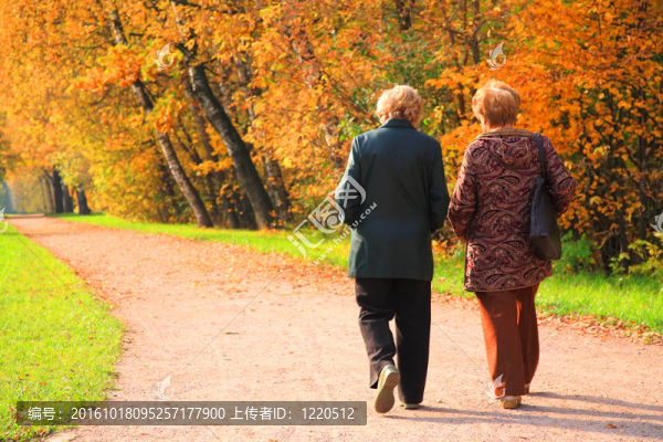 兩個(gè)老年婦女在公園秋天