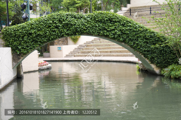 綠橋