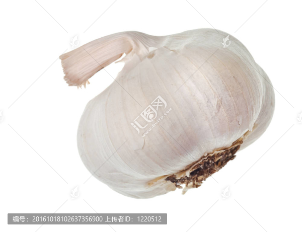 大蒜中分離