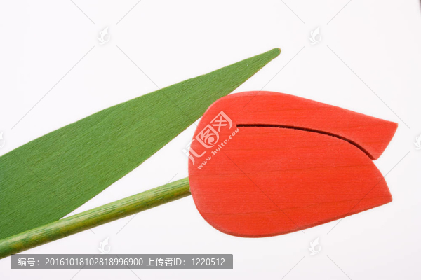 木制的郁金香