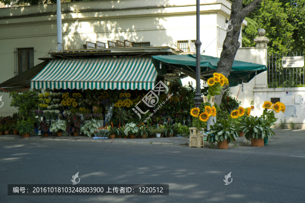 花卉市場