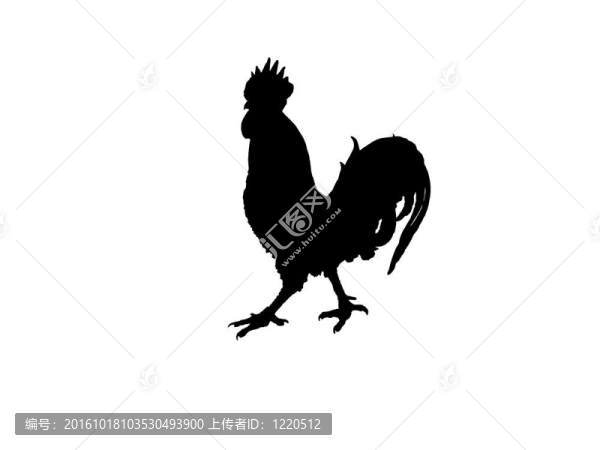 公雞的輪廓