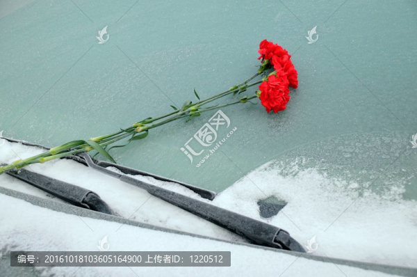 對汽車擋風玻璃的康乃馨束