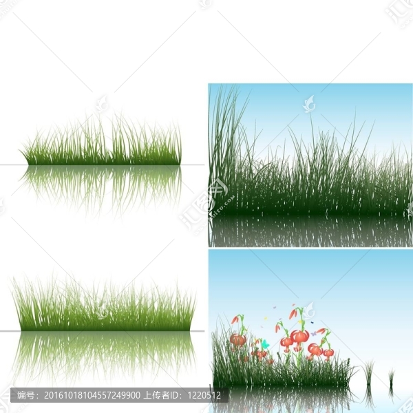 草水