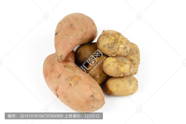 土豆和紅薯