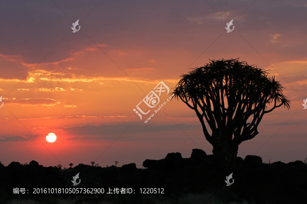 沙漠日落