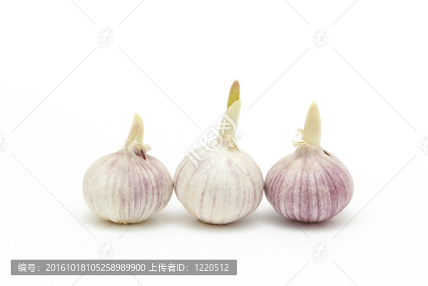 三大蒜