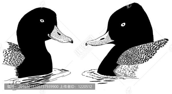 更大的