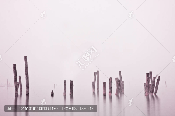水中的木頭在霧中