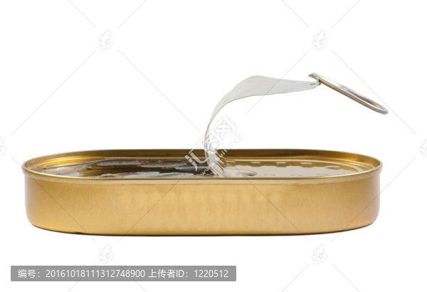 可以用魚