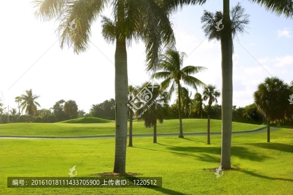 邁阿密比斯坎灣高爾夫熱帶領(lǐng)域