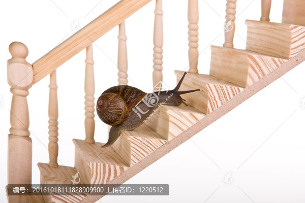 蝸牛在樓梯上