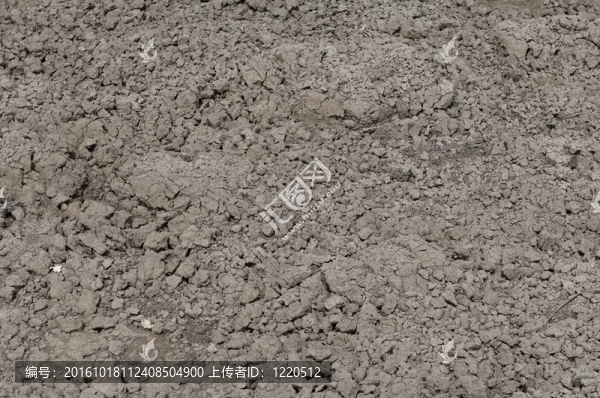 干裂的地球