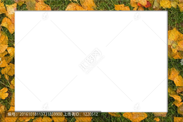 花相框