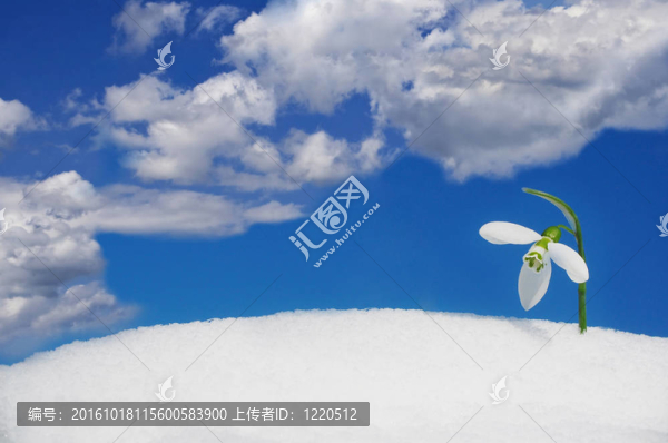 雪落與天空