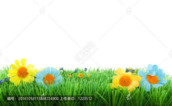 綠草帶花