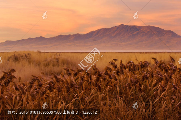 史前景觀