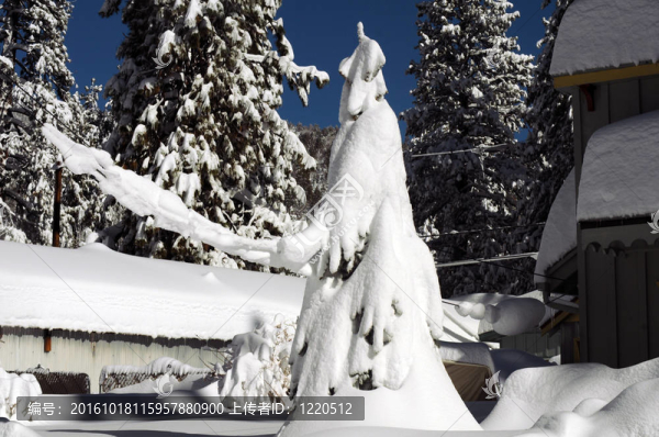 積雪的形狀