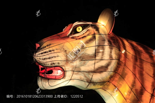發(fā)光豹在中國輕節(jié)