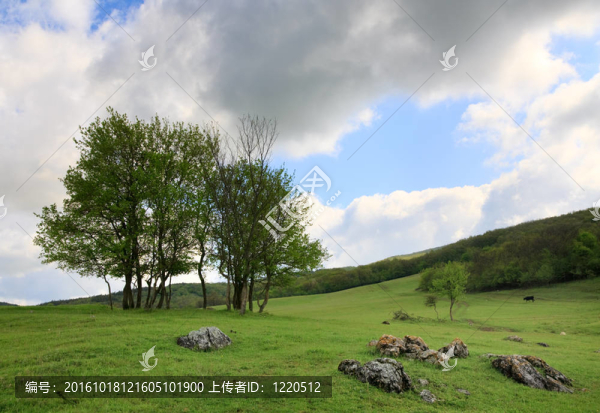 山地景觀