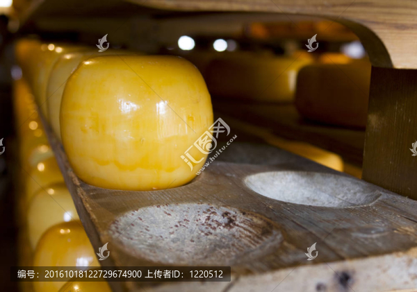 伊丹奶酪奶酪農(nóng)場