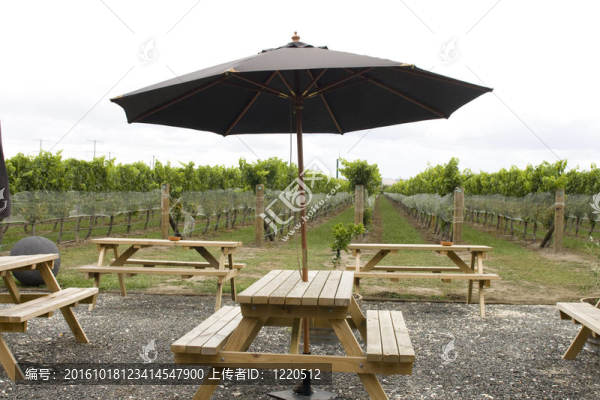 葡萄園將野餐額表