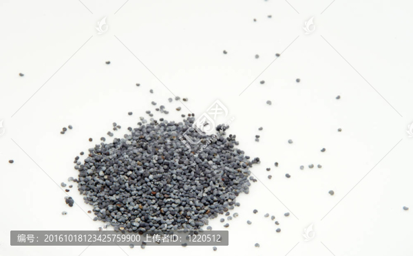 罌粟子