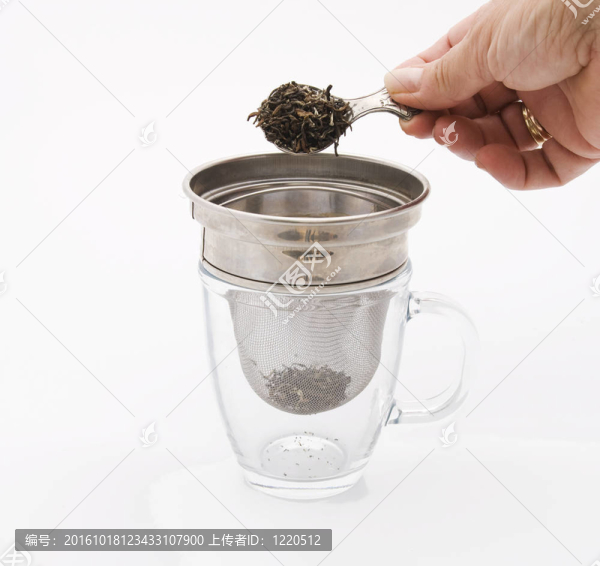 茶的制作
