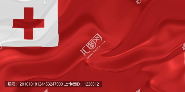 湯加波浪的旗幟