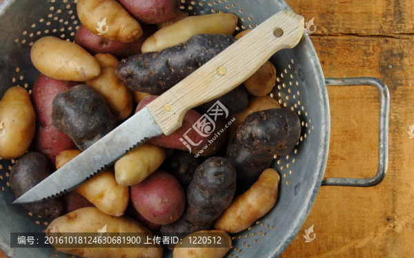小魚土豆漏勺品種