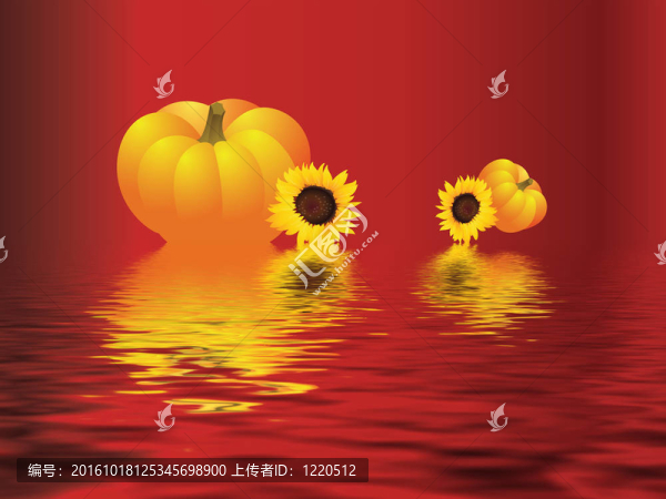 南瓜
