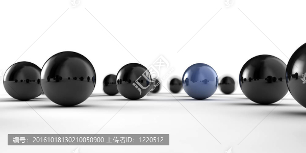 多樣性