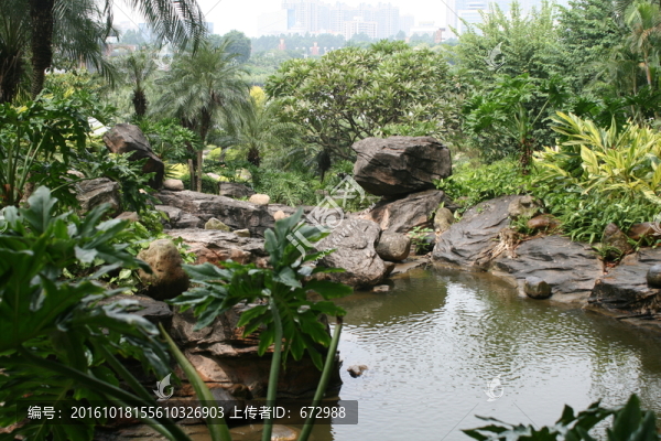 自然風(fēng)景