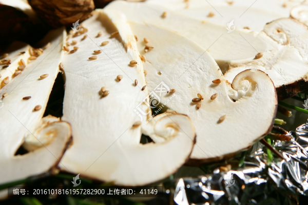 松茸壽司