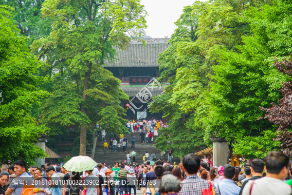 都江堰伏龍觀