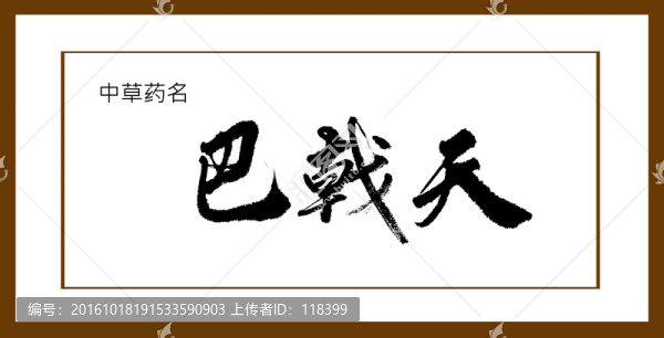 巴戟天