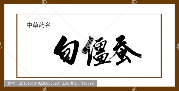 白僵蠶
