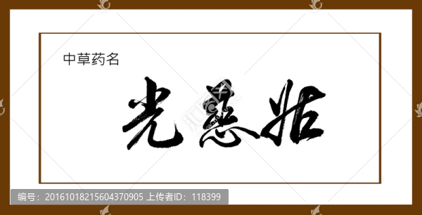 光慈姑
