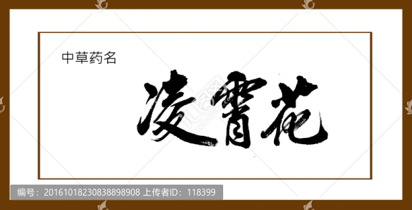 凌霄花