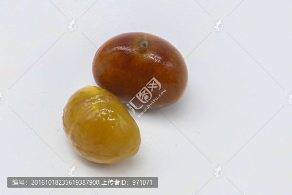 野生板栗