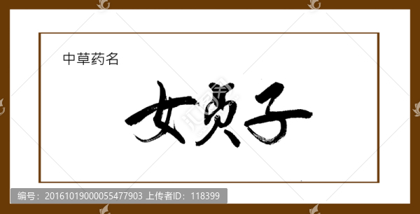 女貞子
