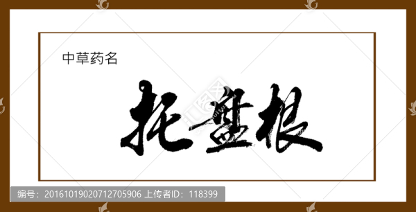 托盤根