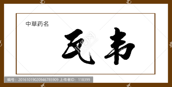 瓦韋