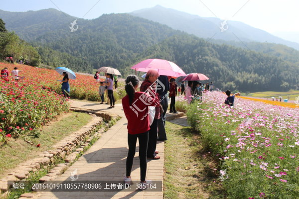 看花展的人群