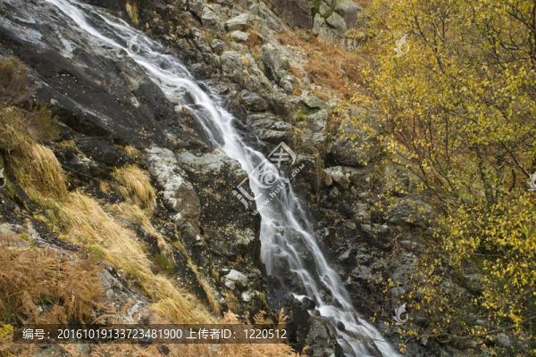 酸牛奶是從砍伐鰓附近道路上的seathwaite巨大山墻；英格蘭湖區(qū)；坎布里亞郡；英國