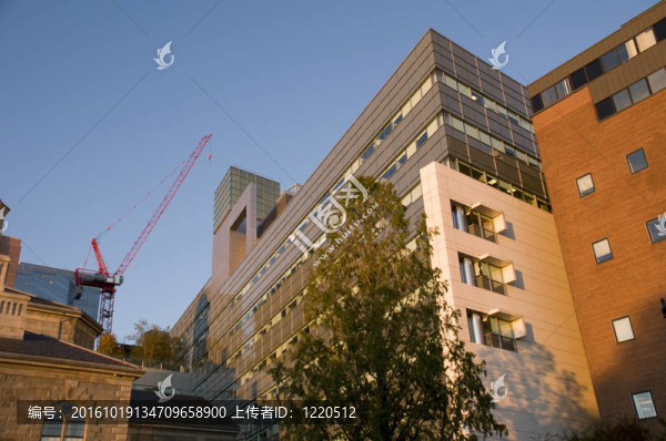 波士頓建筑
