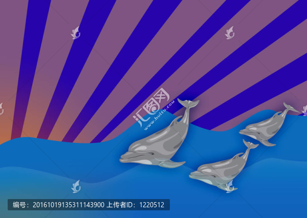 三只海豚
