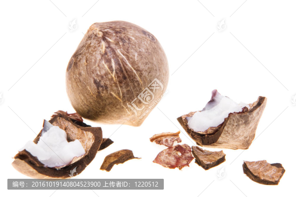 白色背景上的椰子